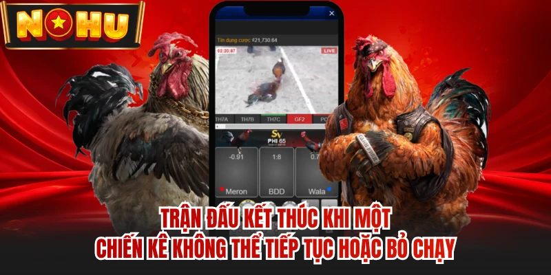 Trận đấu kết thúc khi một chiến kê không thể tiếp tục hoặc bỏ chạy